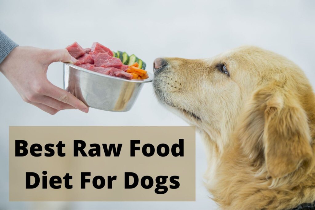 How Much Does Raw Food Diet for Dogs Cost