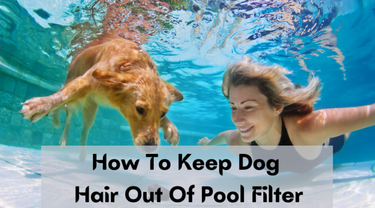 How To Keep Dog Hair Out Of Pool Filter – A Detailed Guide