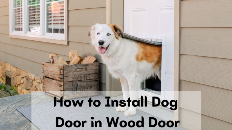 How to Install Dog Door in Wood Door- Explained