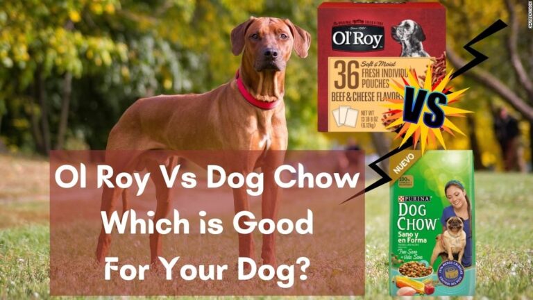 Ol Roy Vs Dog Chow: Which is Good For Your Dog?