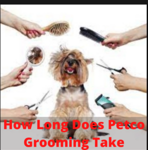 How Long Does Petco Grooming Take