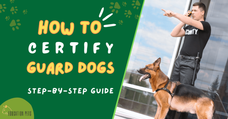 How to Certify a Guard Dog: A Step-by-Step Guide