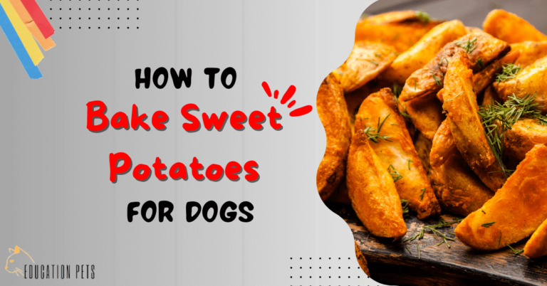 How to Bake Sweet Potatoes for Dogs: A Nutritious and Delicious Treat