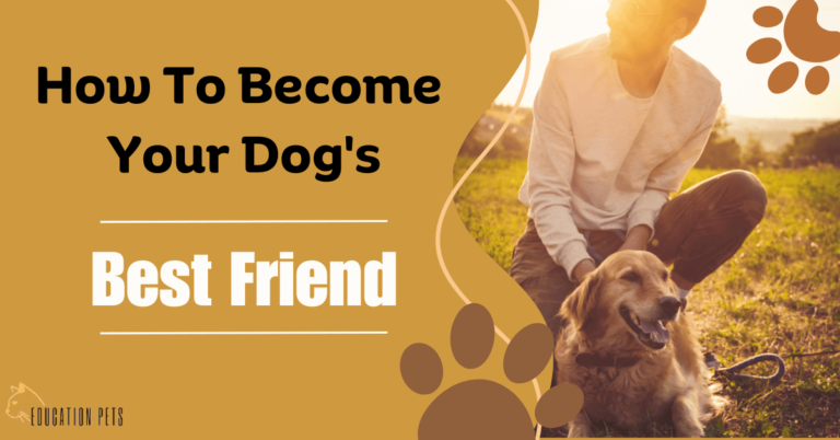 How to Become Your Dog’s Best Friend: Master the Art of Canine Companionship