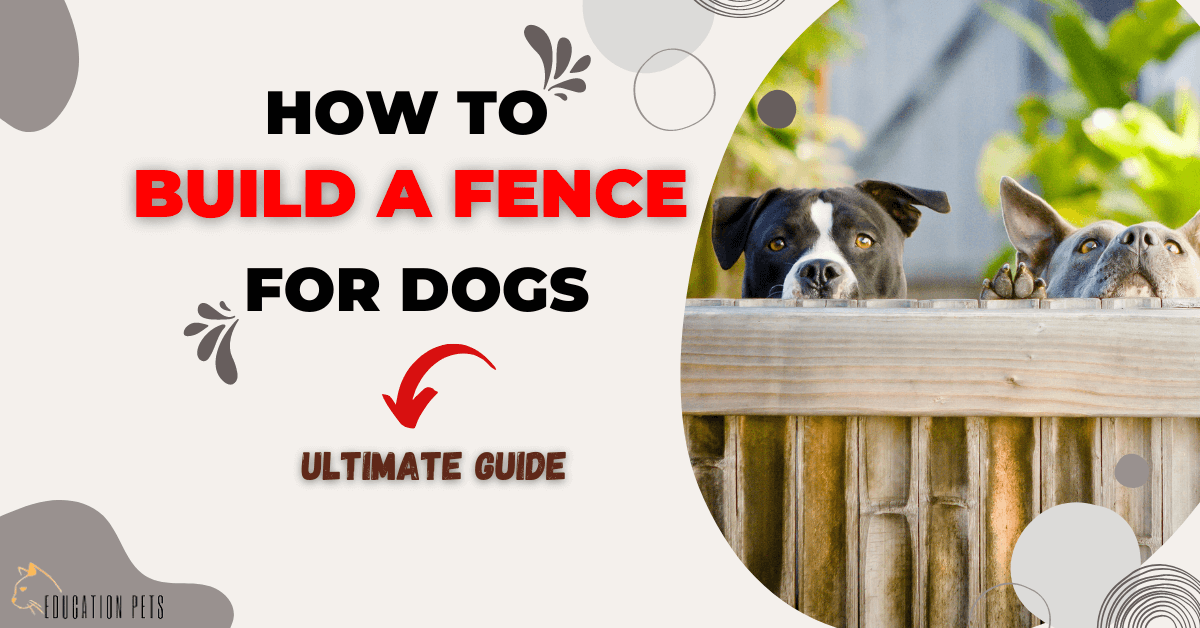 how to build a dog fence