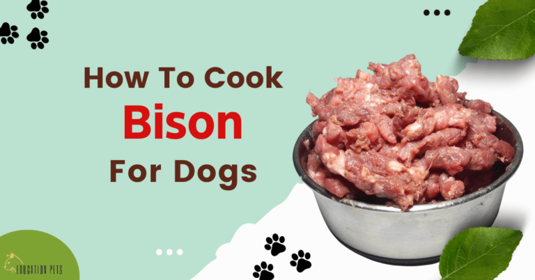 How to Cook Bison for Dogs: A Tasty and Nutritious Treat
