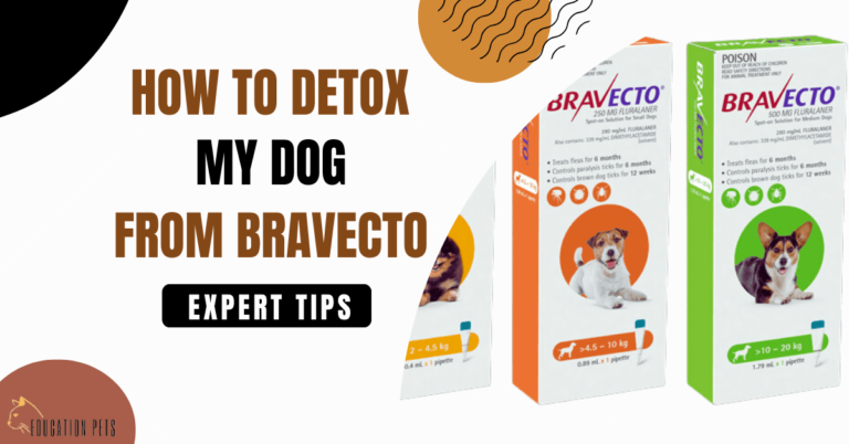 How to Safely Detox My Dog from Bravecto: Expert Guide