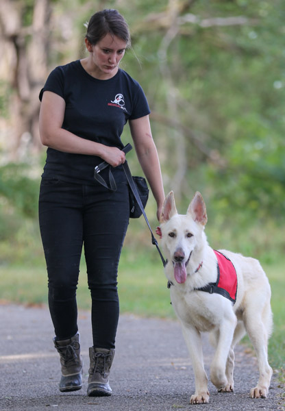 How to Empower Others: Donate a Dog to Transform Lives as a Service Dog