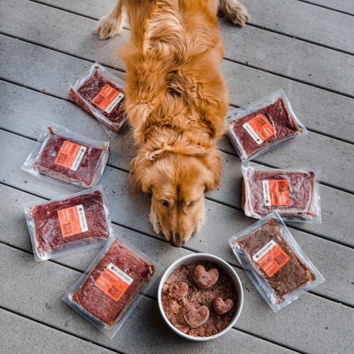 How to Feed Frozen Raw Dog Food: Expert Tips for Healthier Dogs