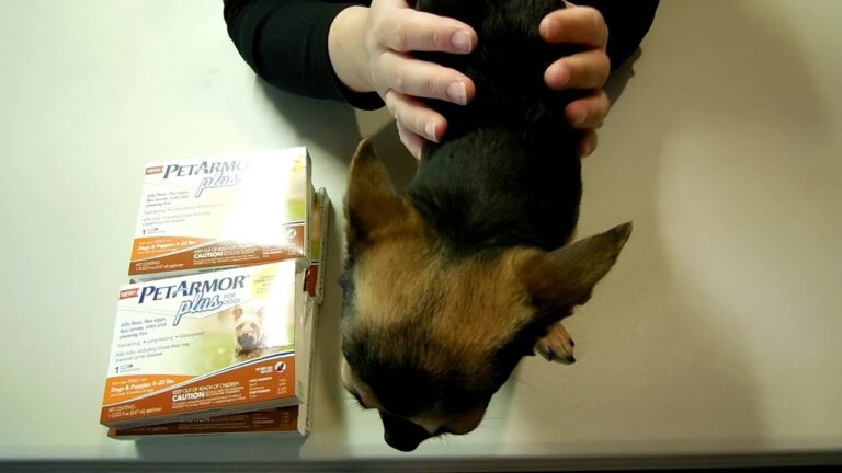 How to Apply Pet Armor Plus for Dogs