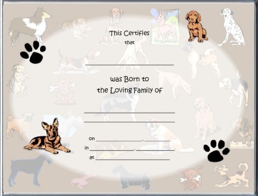 How to Get Birth Certificate for Dog