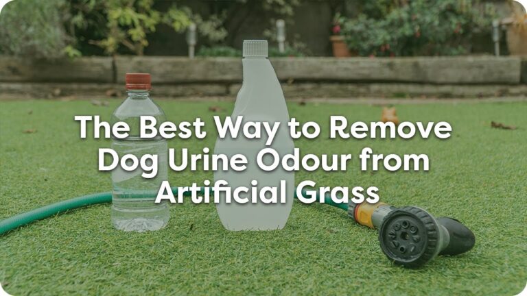 How to Get Dog to Pee on Turf